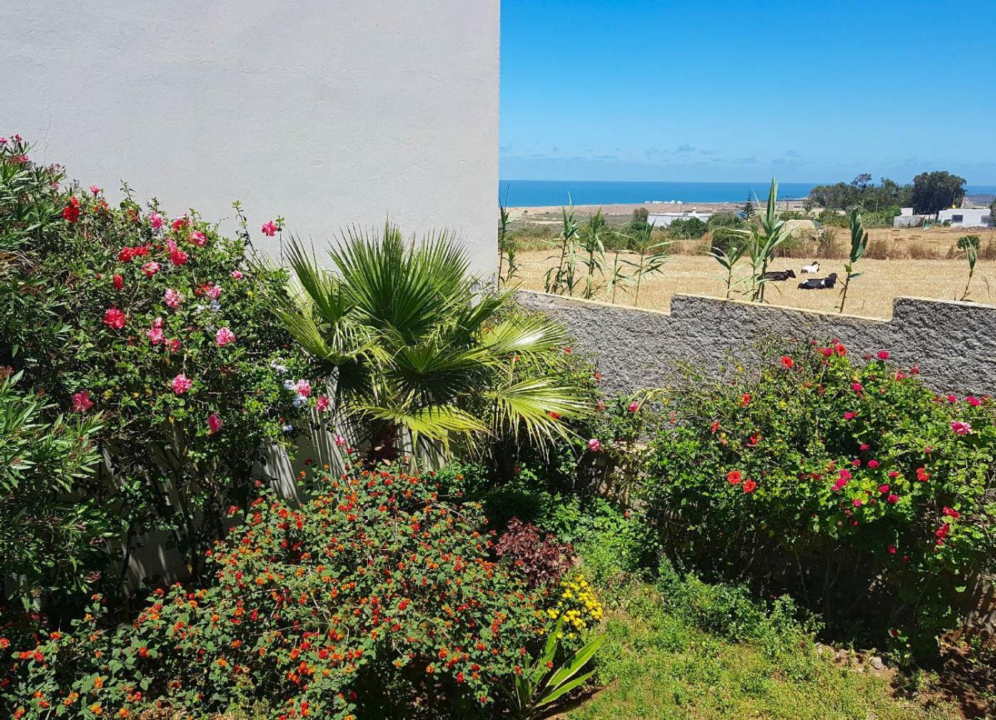 Maison De La Lagune Oualidia Pokoj fotografie
